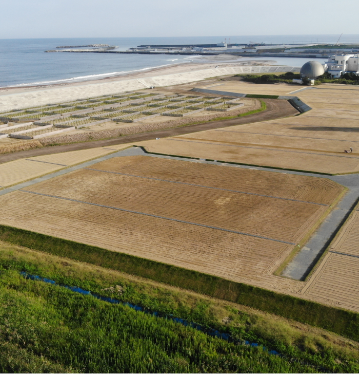 シイナ重建イメージ画像